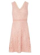 Dorothy Perkins Petite Blush Lace Fit And Flare Dress