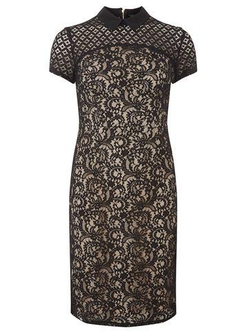 Dorothy Perkins Lace Mix Pencil Dress