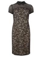 Dorothy Perkins Lace Mix Pencil Dress