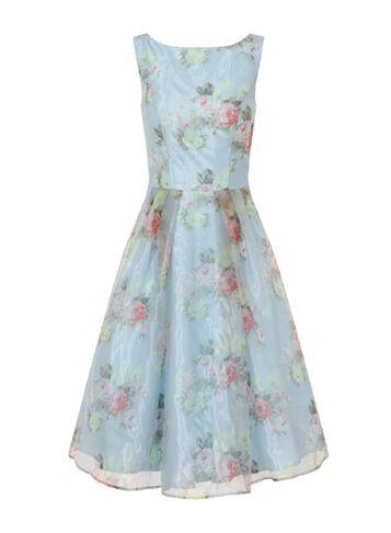 Dorothy Perkins *chi Chi London High Neck Floral Midi Dress