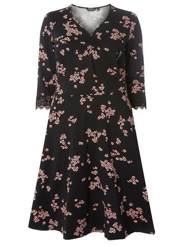 Dorothy Perkins *dp Curve Mulit Coloured Floral Lace Fit And Flare Dress