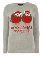 Dorothy Perkins Grey Xmas Tweets Jumper