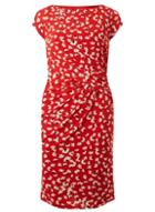 Dorothy Perkins *lily & Franc Coral Daisy Print Dress