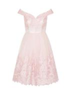 Dorothy Perkins *chi Chi London Curve Pink Embroidered Midi Dress