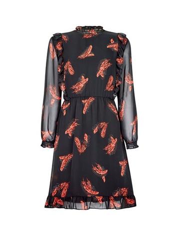 Dorothy Perkins Multi Colour Feather Print Ruffle Mini Dress