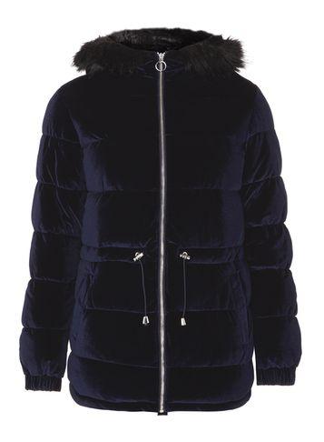 Dorothy Perkins Midnight Velvet Padded Jacket