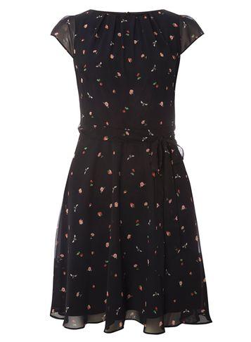 Dorothy Perkins *billie & Blossom Bee And Strawberry Dress