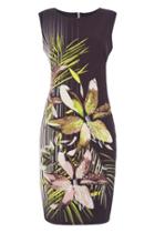 Dorothy Perkins *roman Originals Black Floral Shift Dress