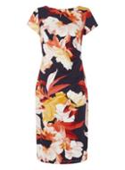 Dorothy Perkins *roman Originals Multi Colour Floral Print Dress