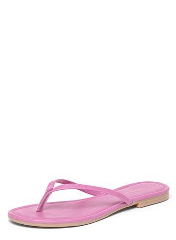 Dorothy Perkins Purple 'fortunes' Flat Lip Flop Sandals