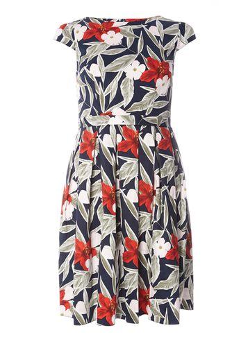 Dorothy Perkins Multi Coloured Floral Cotton Fit & Flare Dress