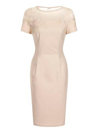 Dorothy Perkins Nude Floral Mesh Dress