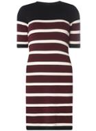 Dorothy Perkins Multi Coloured Striped Knitted Dress