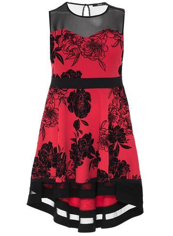 Dorothy Perkins *quiz Curve Red Printed Skater Dress