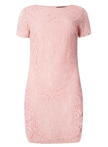 Dorothy Perkins Blush Lace Shift Dress