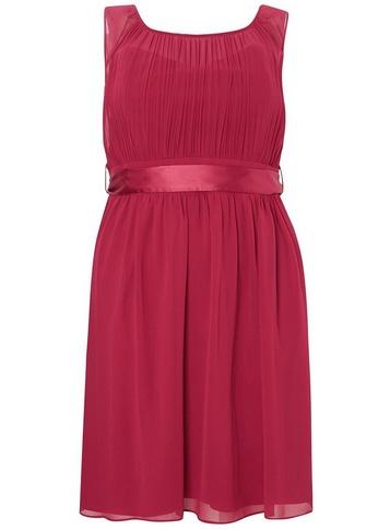 *showcase Curve Berry Beth Skater Dress