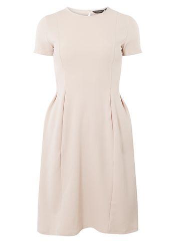 Dorothy Perkins Oyster Fit And Flare Dress