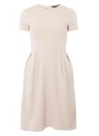 Dorothy Perkins Oyster Fit And Flare Dress