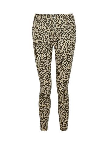 Dorothy Perkins Petite Multi Colour Frankie Leopard Print Super Skinny Jeans