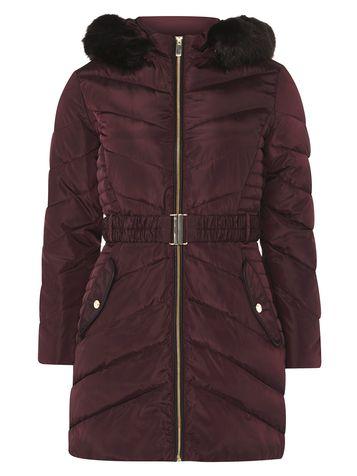 Dorothy Perkins Petite Berry Belted Longline Padded Coat