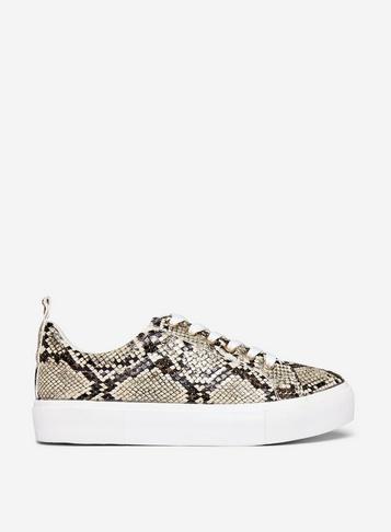 Dorothy Perkins Brown 'indi' Snake Print Trainers