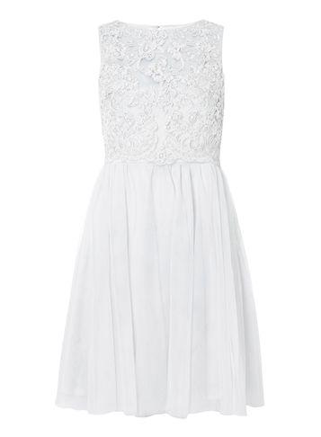 Dorothy Perkins *showcase Dove Grey Lola Fit And Flare Dress