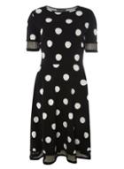 Dorothy Perkins *tall Black Spot Lace Dress