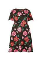 Dorothy Perkins *dp Curve Black Floral Print T-shirt Dress