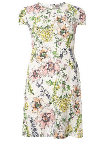 Dorothy Perkins Petite White Floral Tea Dress