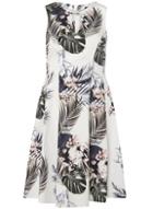 Dorothy Perkins Ivory Palm Print Fit And Flare Dress