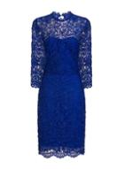 Dorothy Perkins *paper Dolls Cobalt High Neck Lace Bodycon Dress