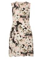Dorothy Perkins Blush Floral Fit & Flare Dress