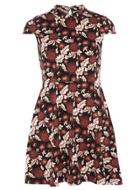 Dorothy Perkins Petite Collar Fit And Flare Dress