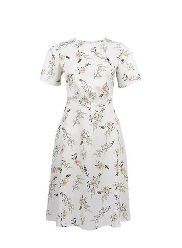 Dorothy Perkins Petite Ivory Floral Print Midi Dress