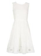 Dorothy Perkins *voulez Vous White Fit And Flare Dress