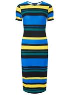 Dorothy Perkins Multi Colour Striped Bodycon Dress