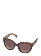 Dorothy Perkins Tortoise Kitten Sunglasses
