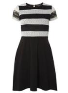 Dorothy Perkins Black And Ivory Stripe Lace Dress