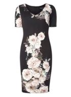 Dorothy Perkins Black And Ivory Floral Print V-neck Pencil Dress