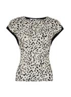 Dorothy Perkins Petite Multi Coloured Abstract Print Top