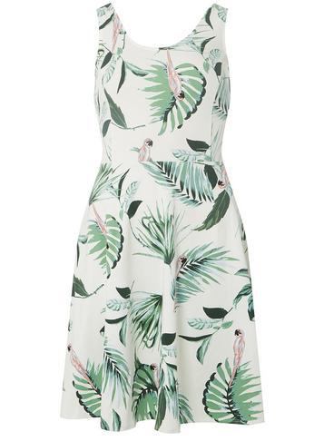 Dorothy Perkins *tall Ivory Parrot Fit And Flare Dress