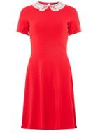 Dorothy Perkins Red Lace Collar Mini Skater Dress