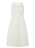 Dorothy Perkins White Lace Mix Prom Dress