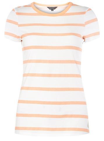 Dorothy Perkins Ivory And Coral Striped T-shirt