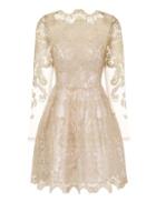 Dorothy Perkins *chi Chi London Petite Embroidered Mini Dress