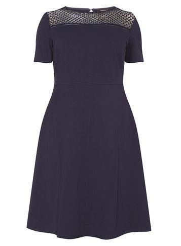 Dorothy Perkins Dp Curve Navy Mesh Yoke Fit And Flare Dress