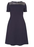 Dorothy Perkins Dp Curve Navy Mesh Yoke Fit And Flare Dress