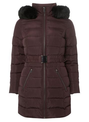 Dorothy Perkins Petite Berry And Black Parka
