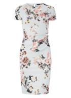 Dorothy Perkins Grey Floral Print Ruched Bodycon Dress