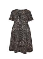 Dorothy Perkins *dp Curve Giraffe Print T-shirt Dress